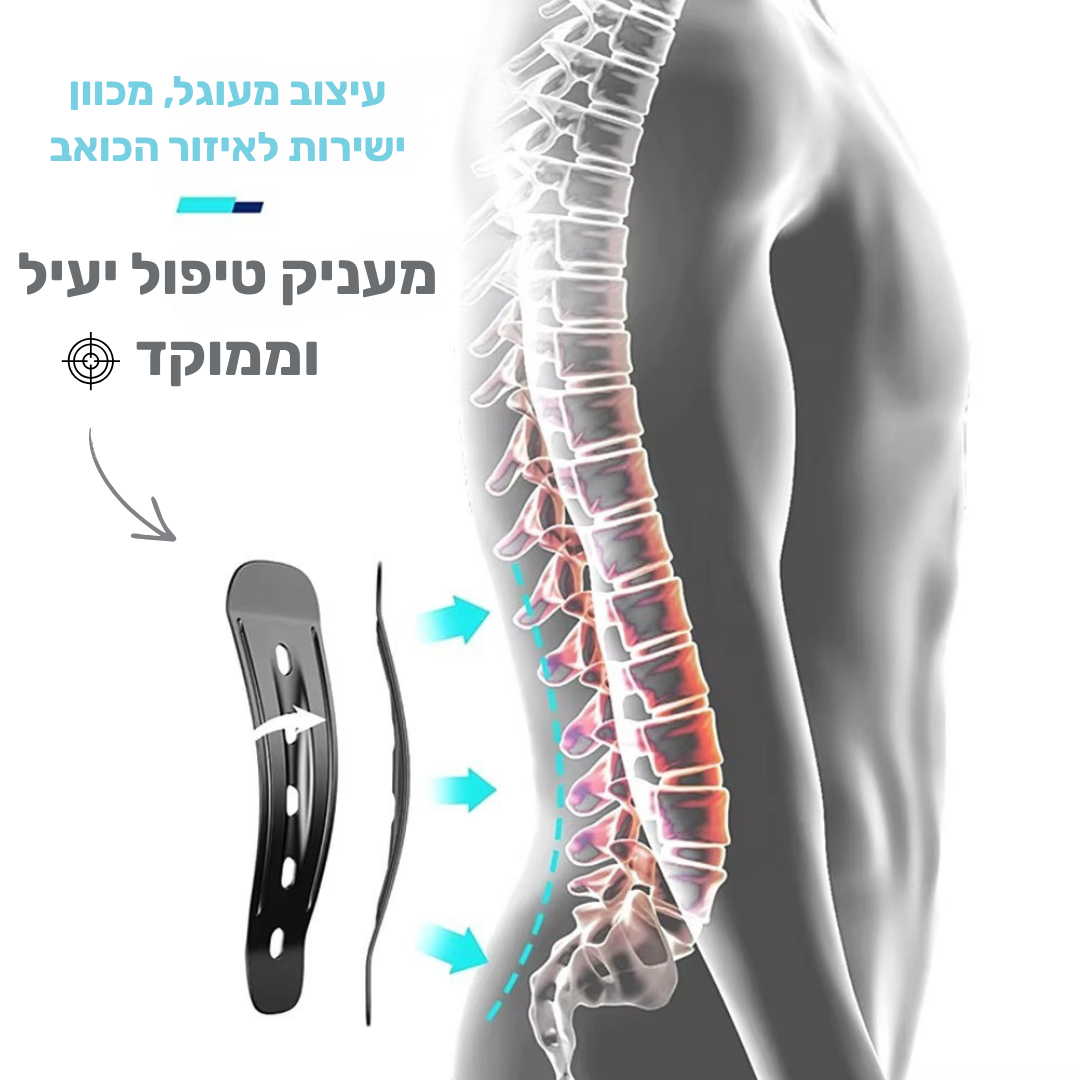 Support belt™ - חגורת תמיכה לגב התחתון